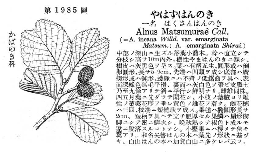 植物図鑑