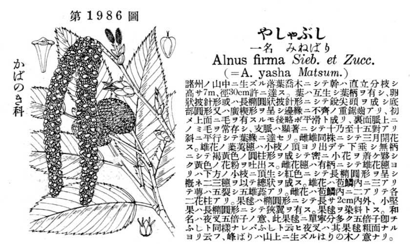 植物図鑑
