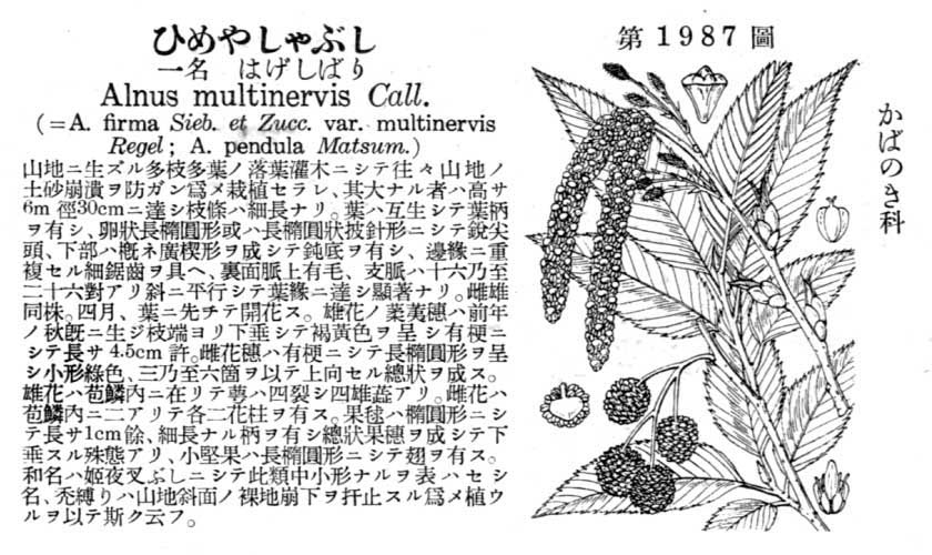 植物図鑑