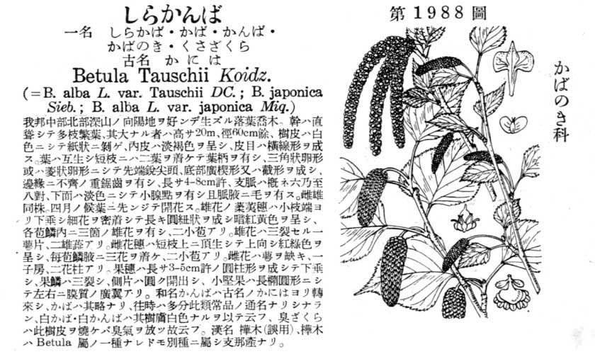 植物図鑑