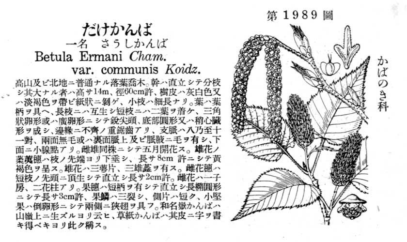 植物図鑑
