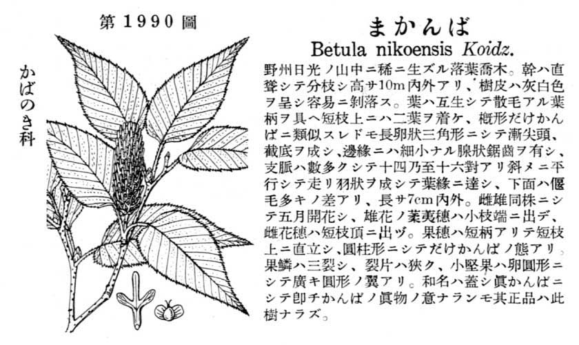 植物図鑑