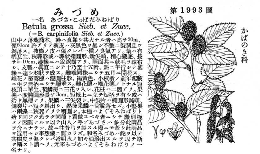 植物図鑑