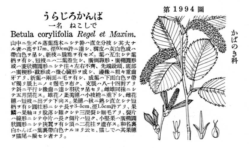 植物図鑑