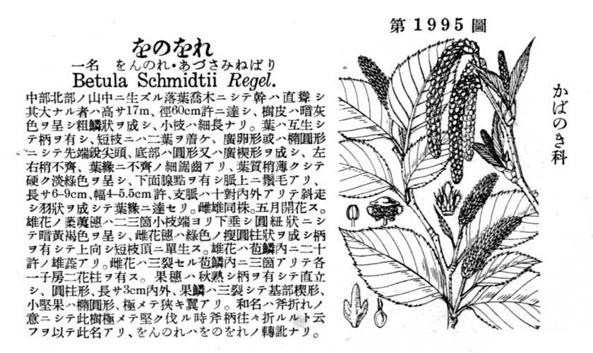植物図鑑