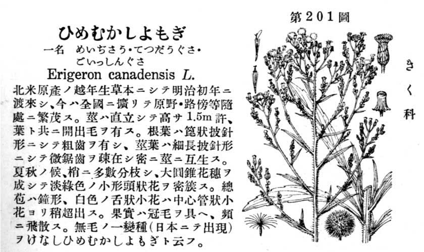 よもぎ☆ s-l400.jpg