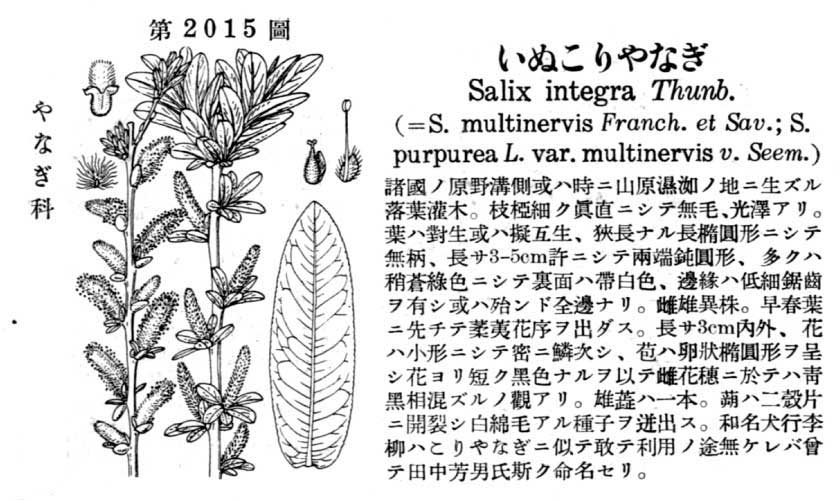 植物図鑑