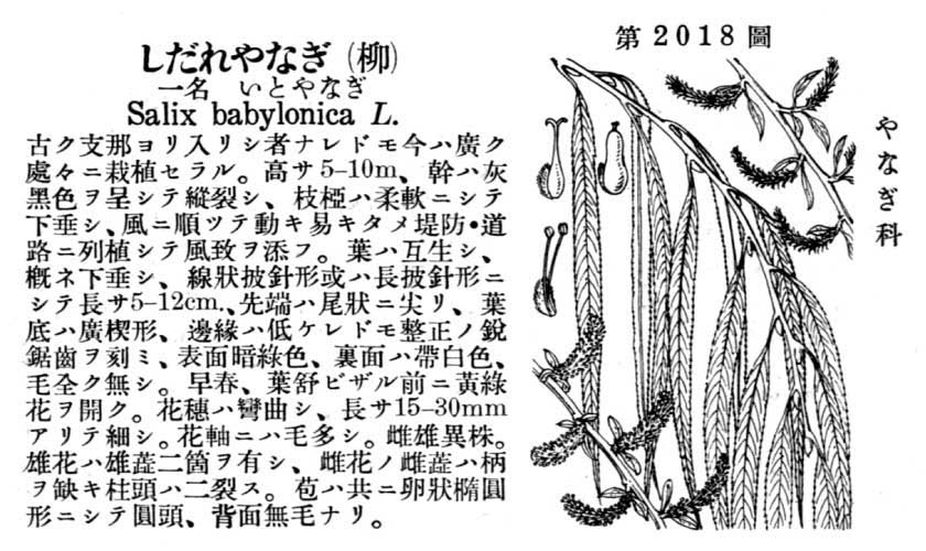 植物図鑑