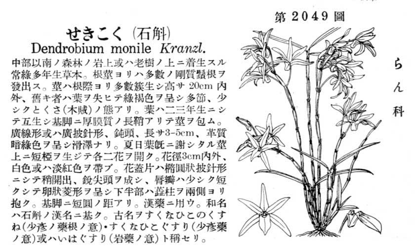 植物図鑑