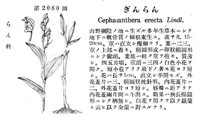 植物図鑑