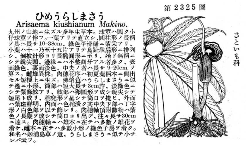 植物図鑑