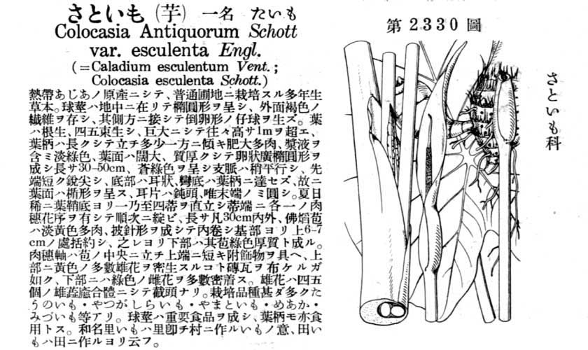 植物図鑑