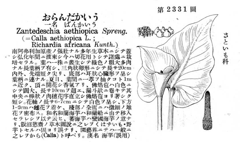植物図鑑