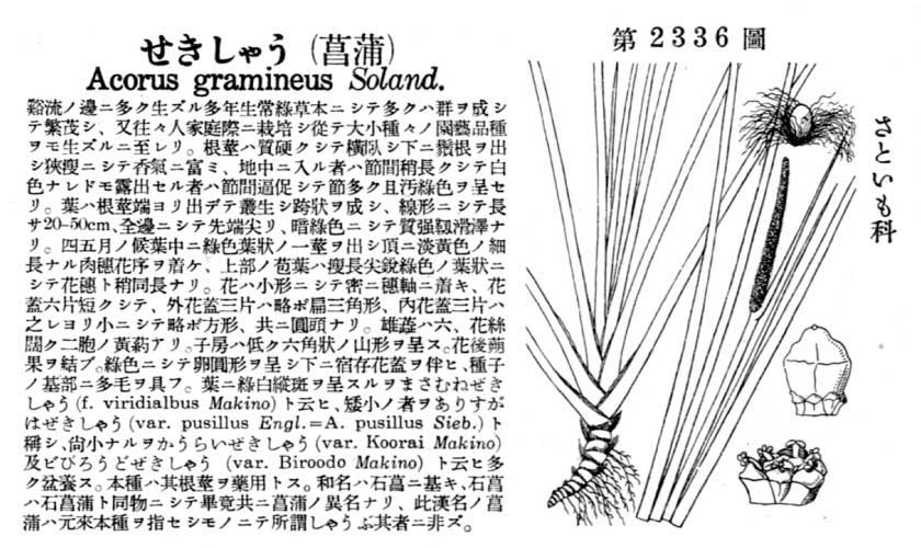 植物図鑑