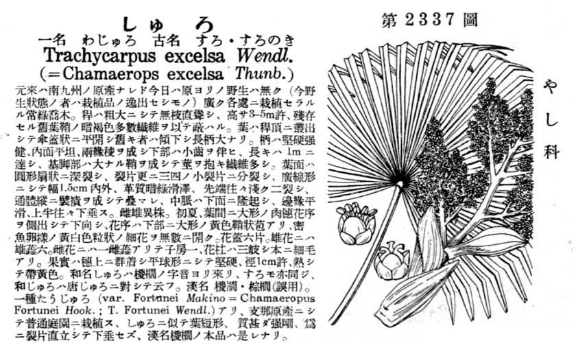 植物図鑑
