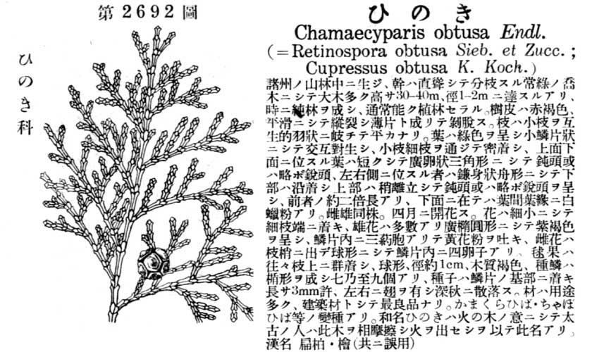 植物図鑑