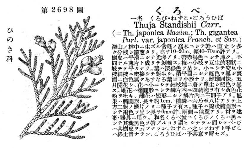 植物図鑑