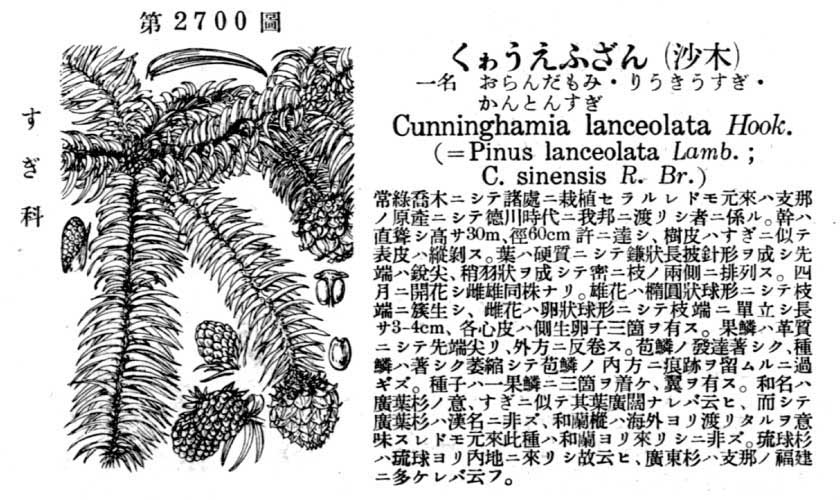 植物図鑑