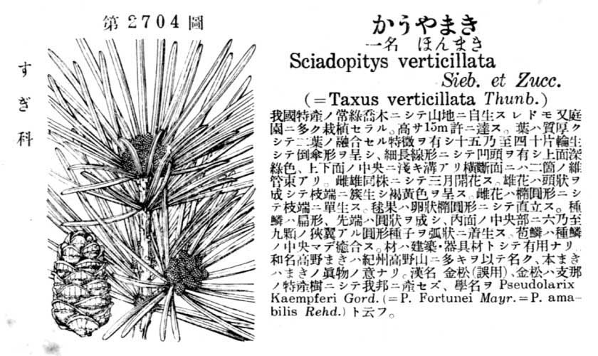 植物図鑑