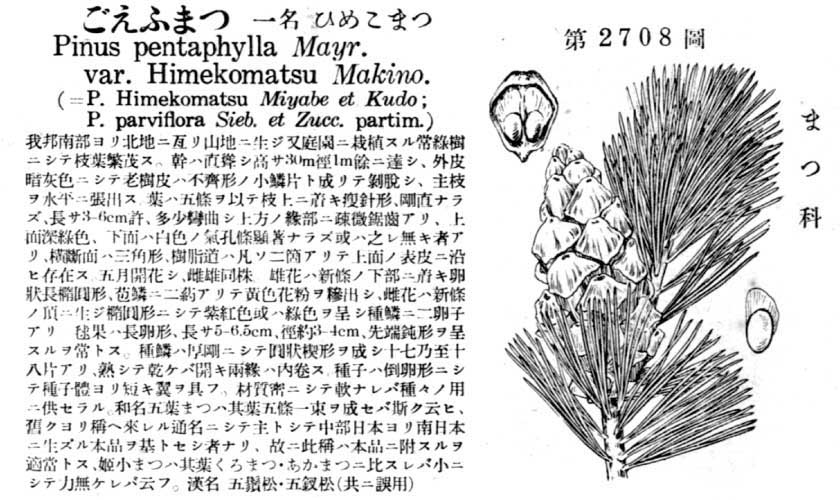 植物図鑑