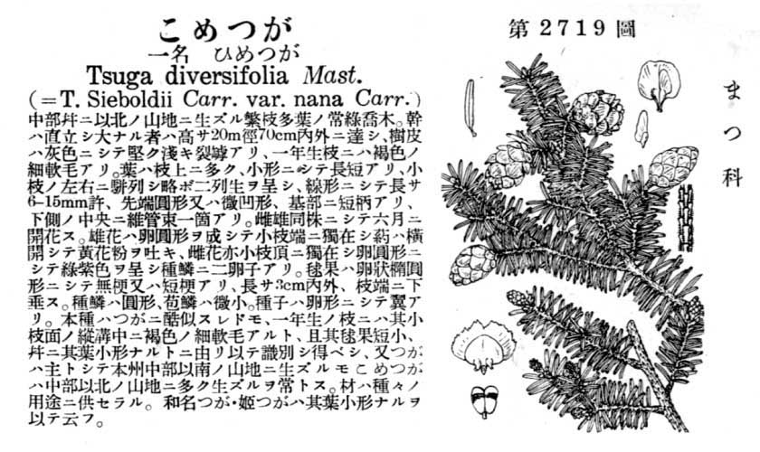 植物図鑑