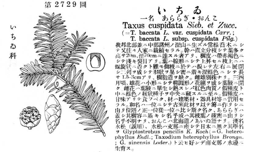 植物図鑑