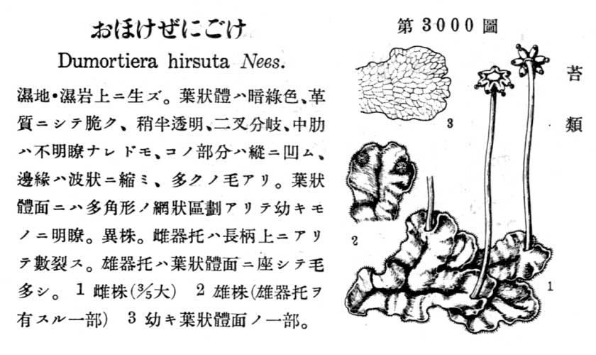 植物図鑑