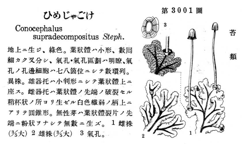 植物図鑑