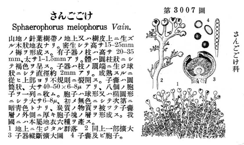 植物図鑑