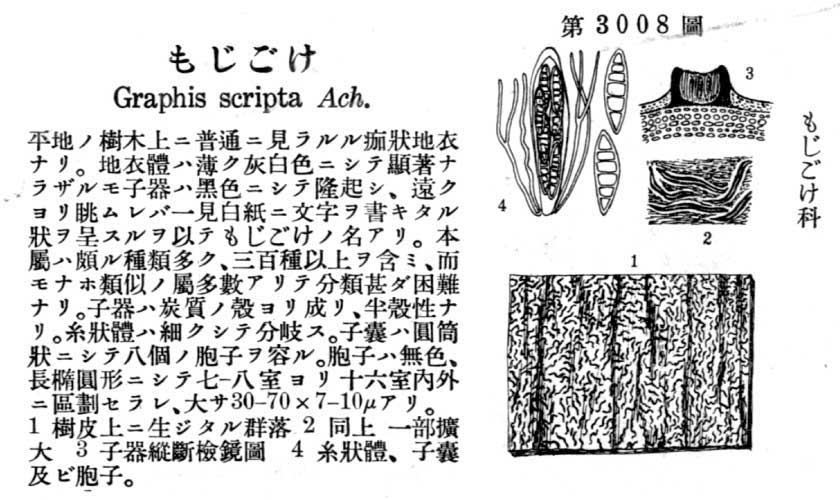 植物図鑑