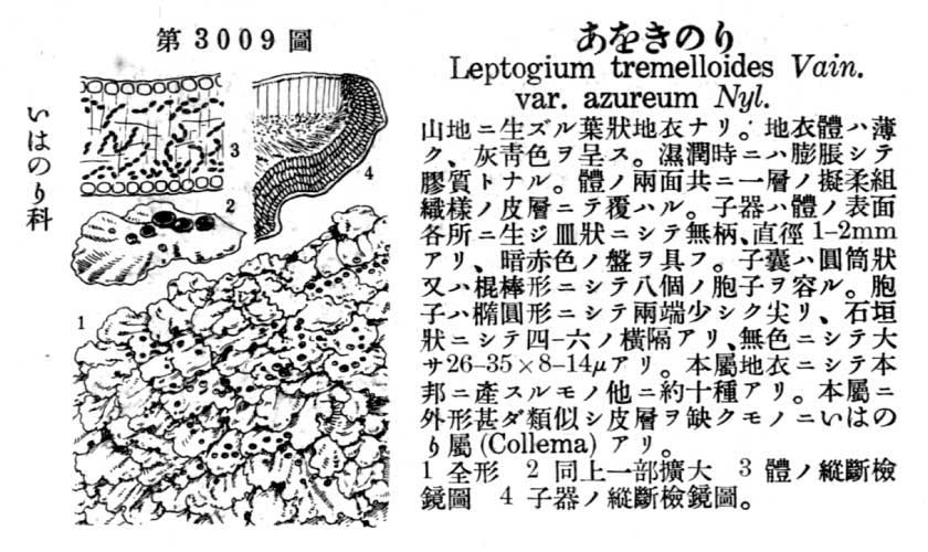 植物図鑑