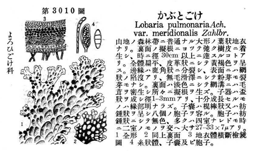 植物図鑑