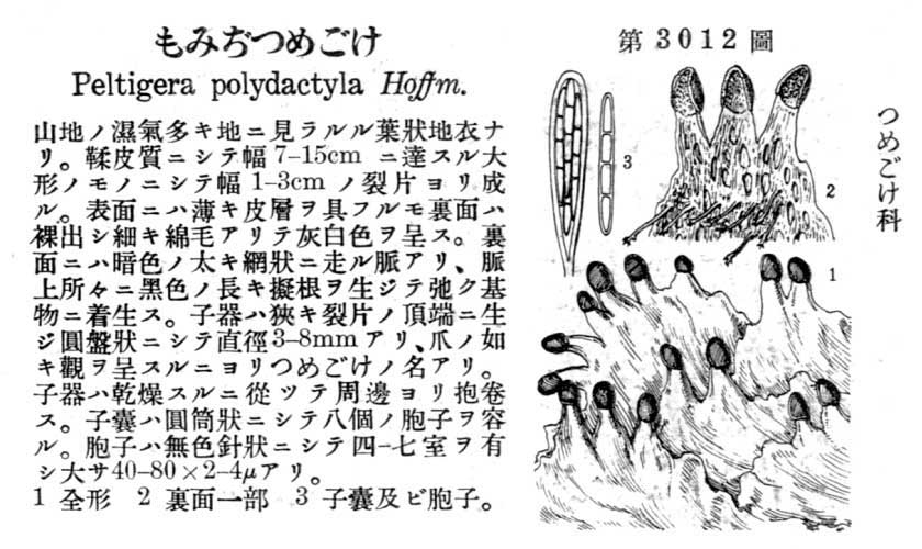 植物図鑑