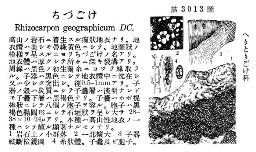 植物図鑑