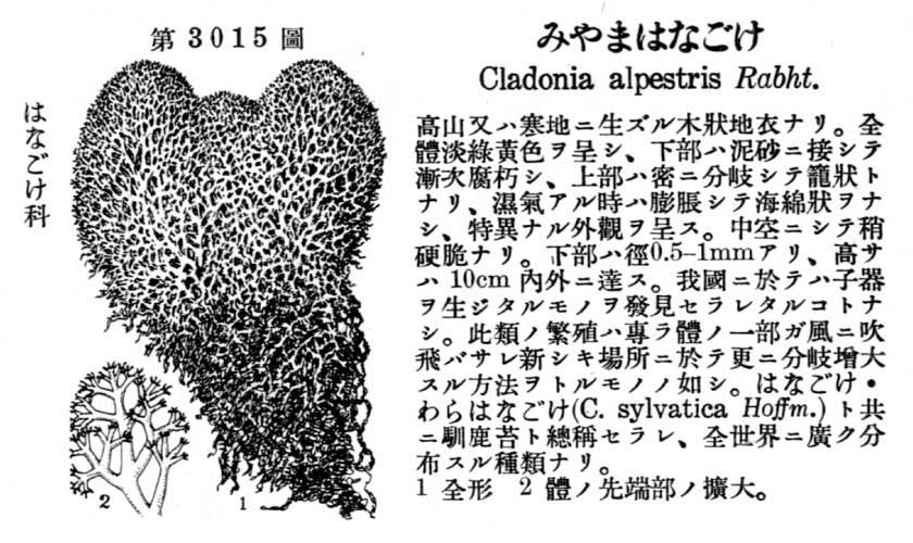 植物図鑑