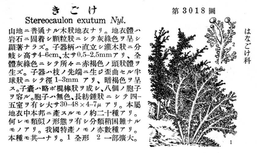植物図鑑