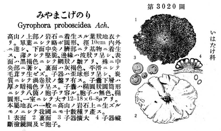 植物図鑑