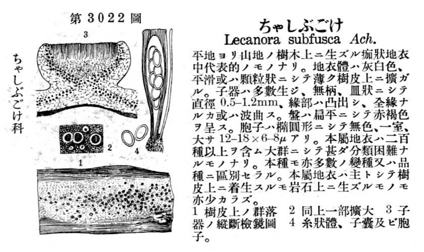 植物図鑑