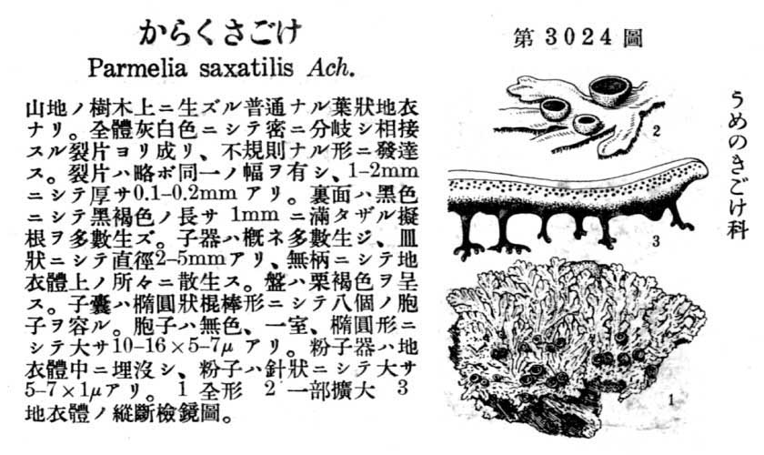 植物図鑑