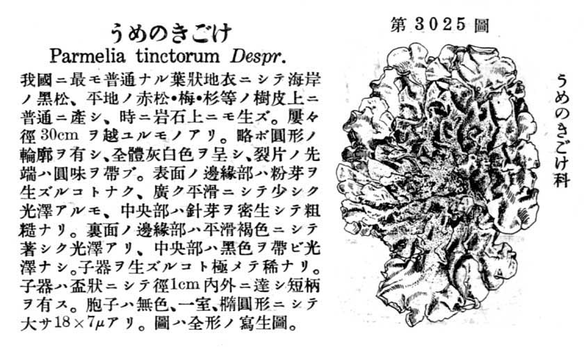 植物図鑑