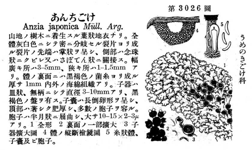 植物図鑑