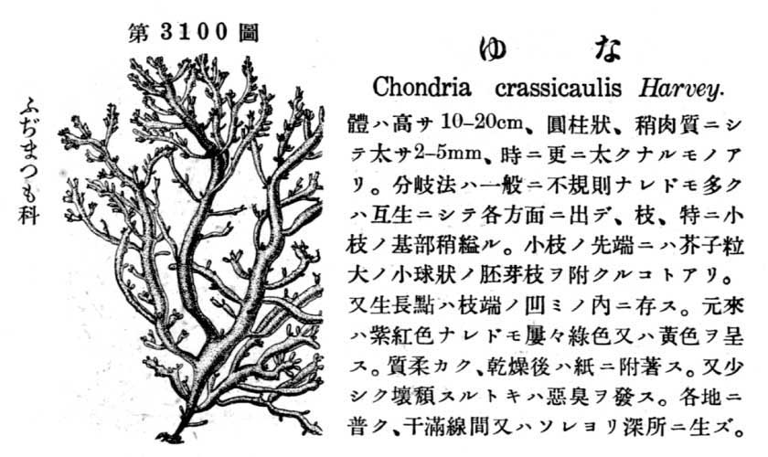 植物図鑑