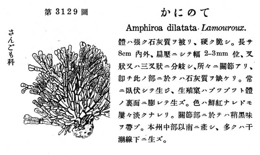 植物図鑑