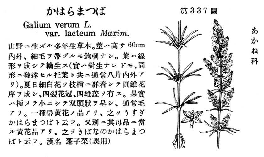 植物図鑑
