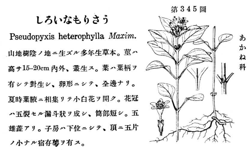 植物図鑑