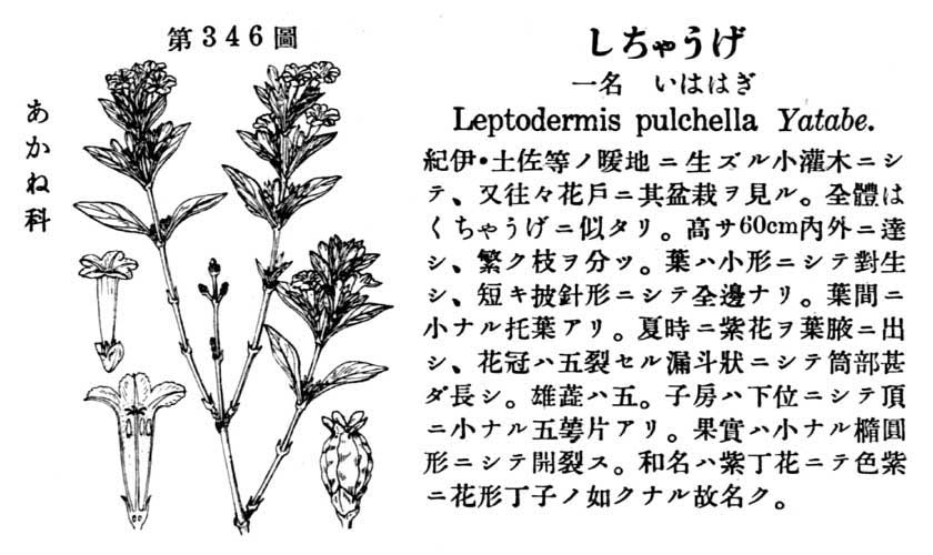 植物図鑑