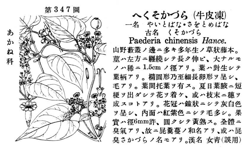 植物図鑑