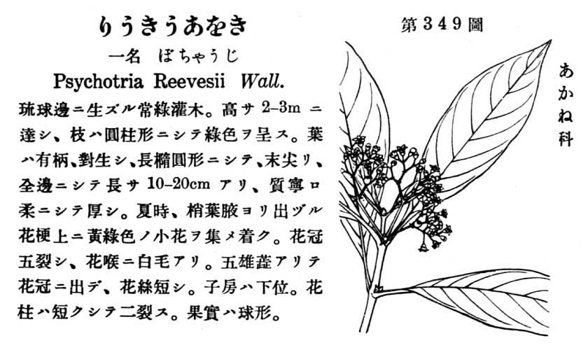 植物図鑑