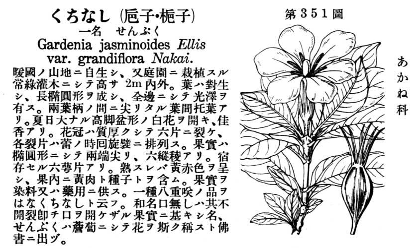 植物図鑑