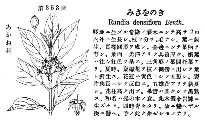 植物図鑑